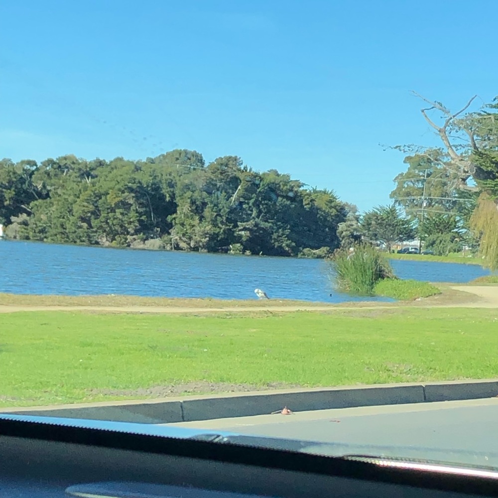 Meet your Posher, Diana